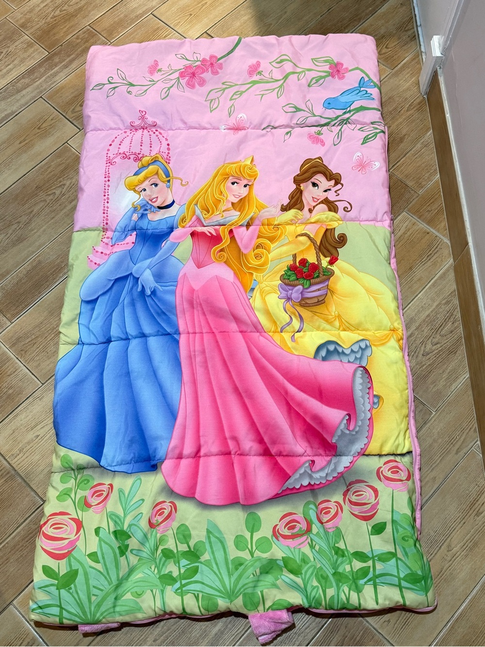 Disney Princess Sleeping Bag